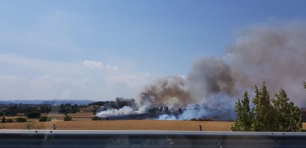 Incendi forestal a Sant Fruitós de Bages