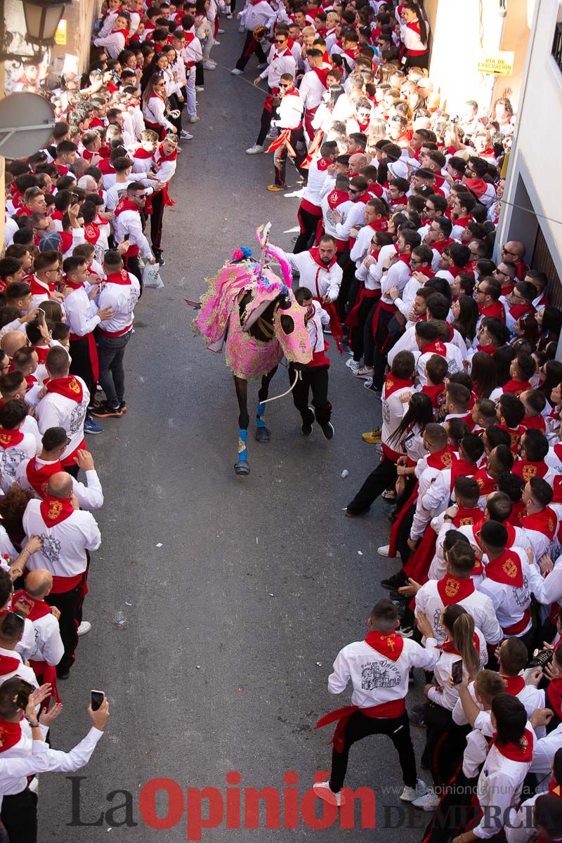 Caballos del Vino en la cuesta de la Simona