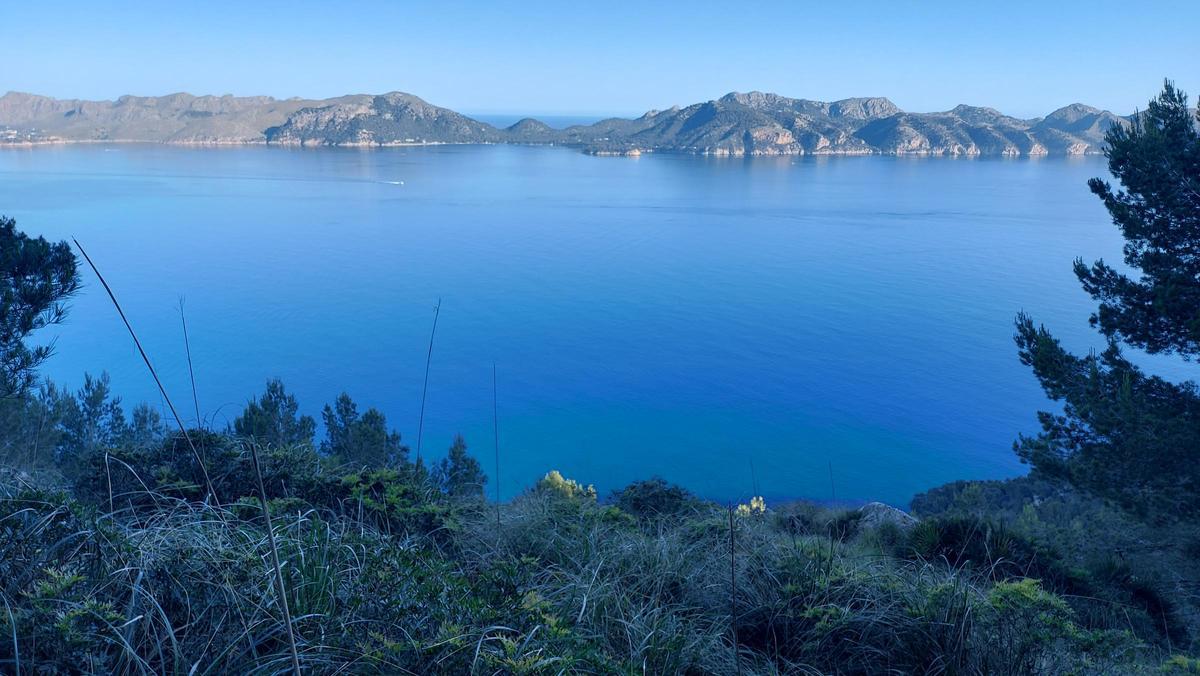 Schon auf dem Weg zum Gipfel bieten sich herrliche Ansichten der Bucht von Pollença.