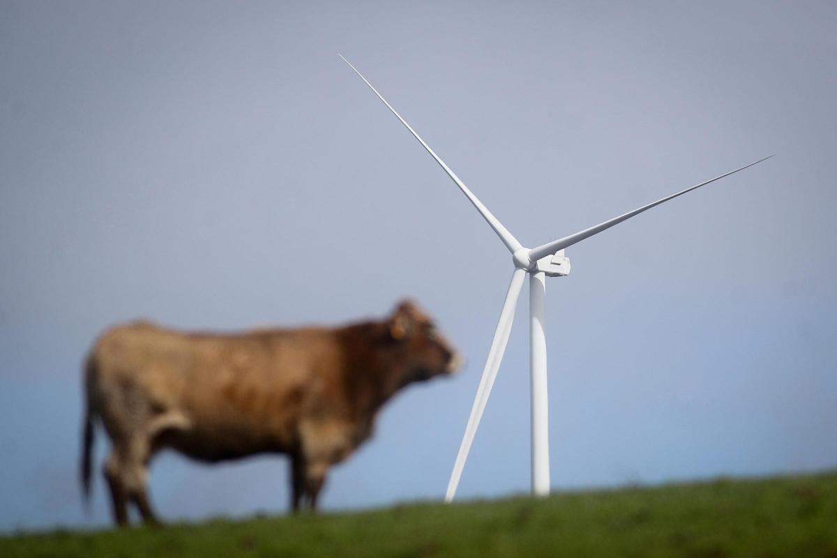 Aerogenerador de un parque eólico en el norte de Galicia.