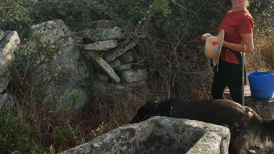 Teresa Cotorruelo recolecta moras para la elaboración de mermelada.