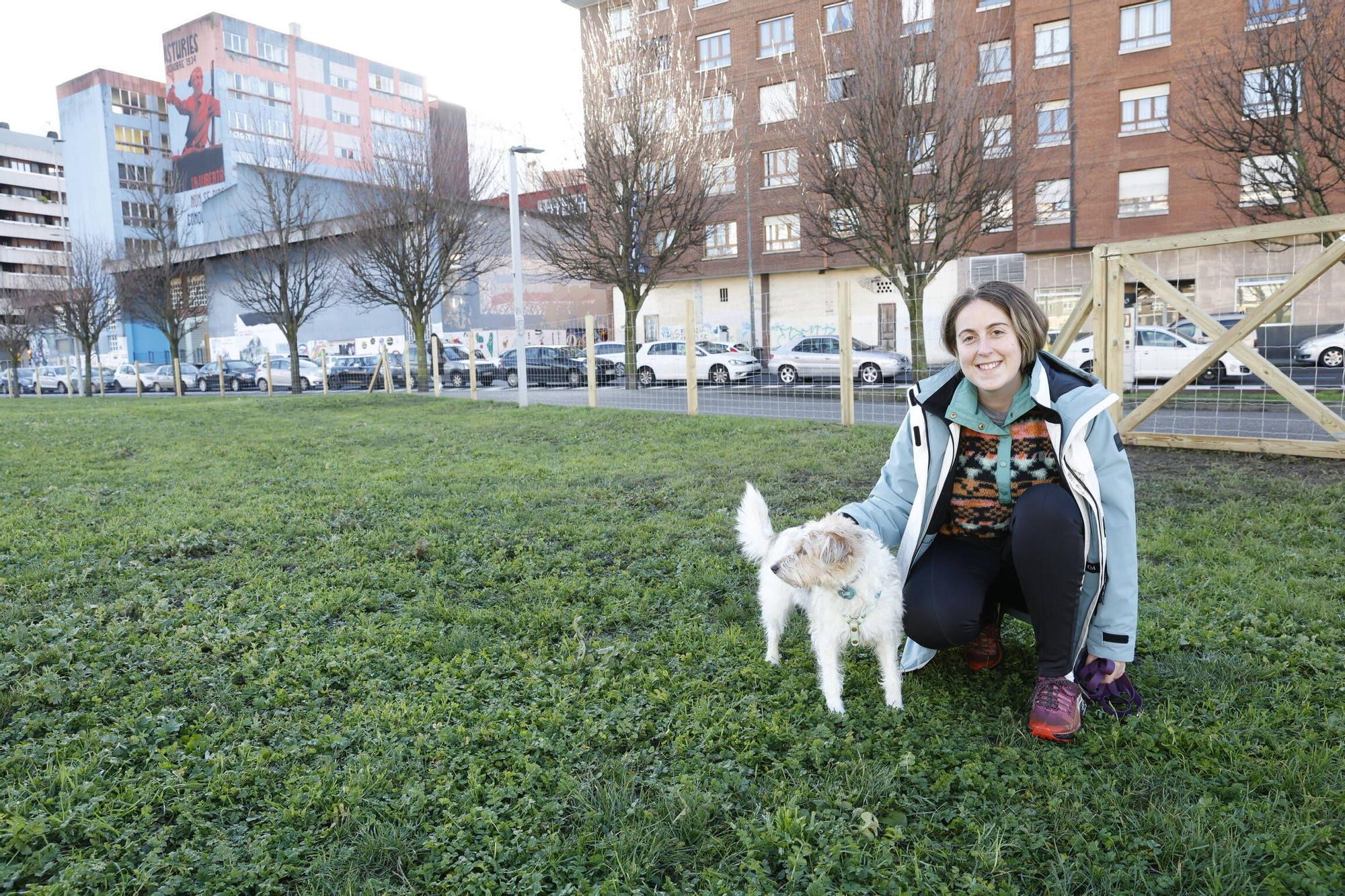 Así disfrutan en la nueva zona para perros en el Solarón (en imágenes)