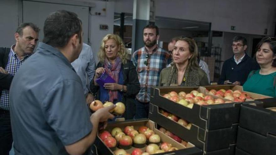 Los blogueros conocieron ayer el proceso de envasado de la granada mollar.