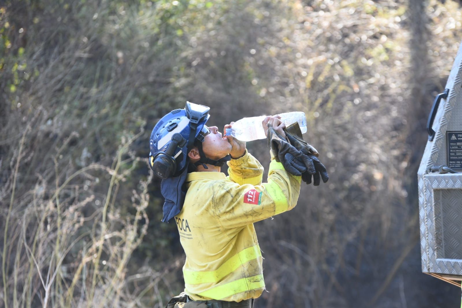 Incendio forestal en la barriada de Trassierra