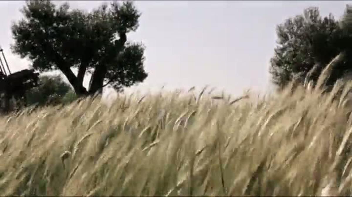 Videoclip de ’Monstre’, del grup català Les Sueques