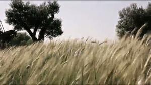 Videoclip de ’Monstre’, del grup català Les Sueques