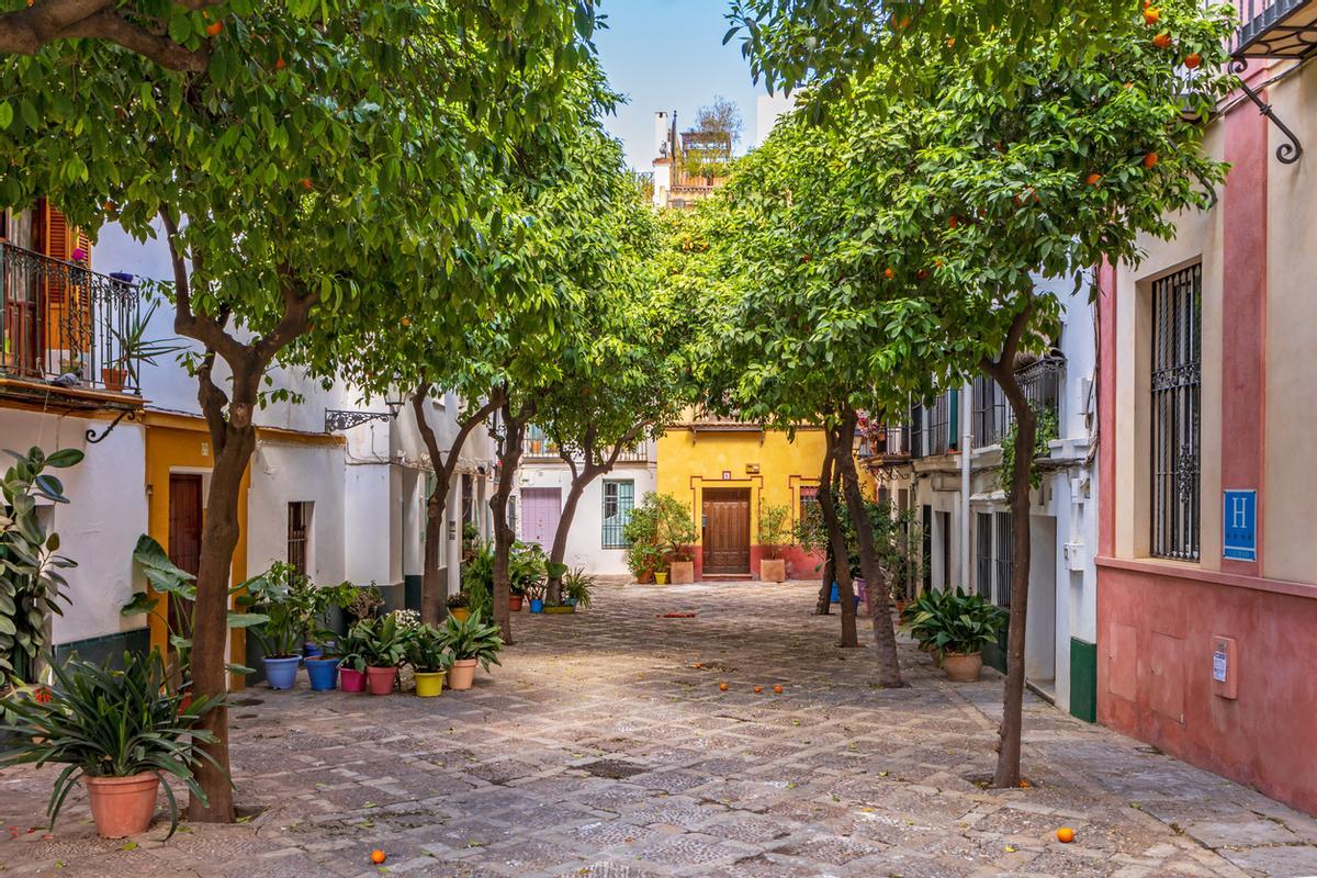 Plaza del Barrio de Santa Cruz, Sevilla