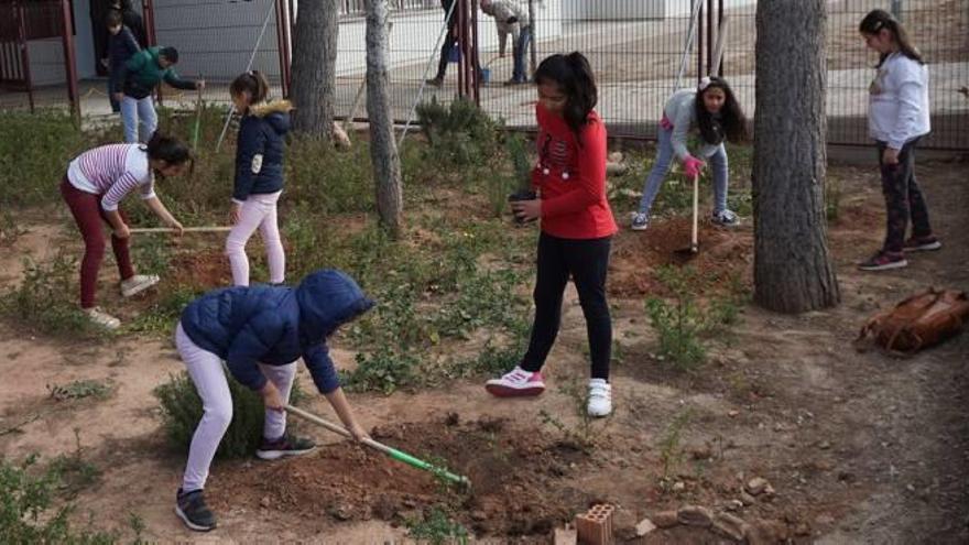 Una de las actividades escolares en torno al Dia de l&#039;Arbre.