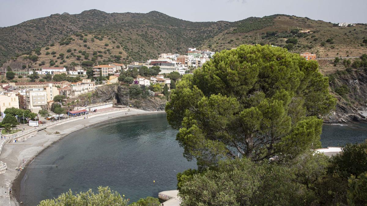 Visites i fotos al pi de la noia de ‘Crims’