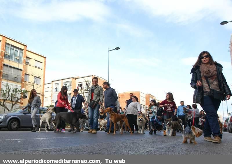 Castellón se vuelca con Sant Antoni