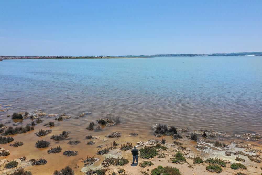 Las aguas de las salinas de Torrevieja perdieron el rosa en febrero. Normalmente es un cambio puntual. Pero este año a las puertas de verano siguen igual. Los episodios de lluvias torrenciales tienen