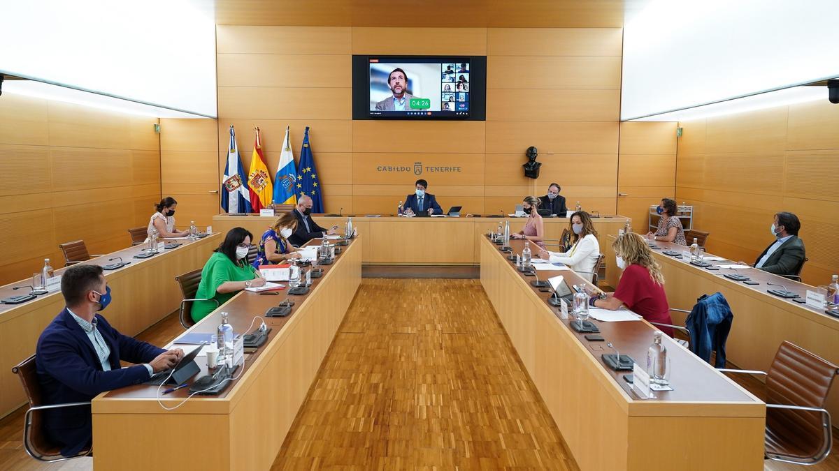 Pleno extraordinario en el Cabildo de Tenerife.