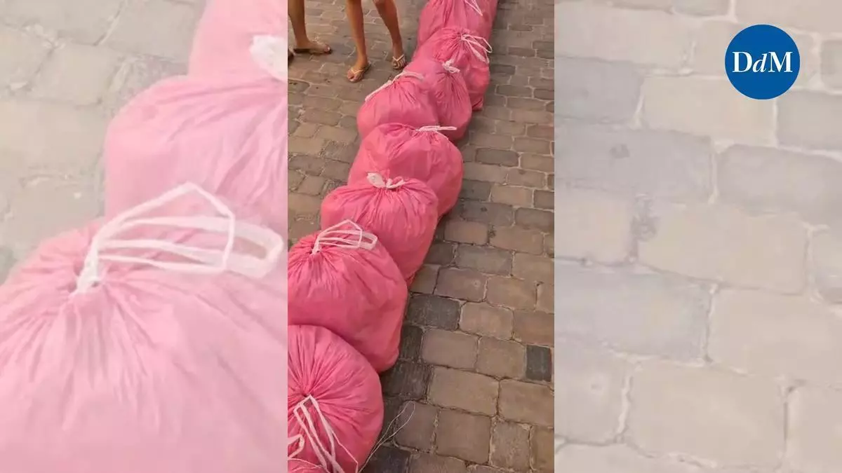 La ArtNit de Campos convierte 365 bolsas de basura en una llamada a la acción ambiental