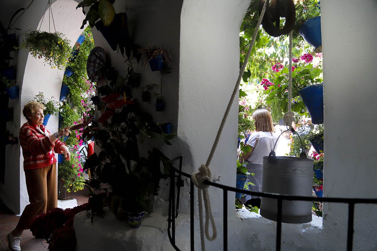 Patio Tinte 9