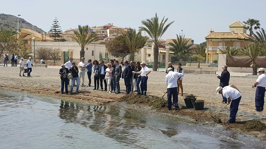 Adela Martínez-Cachá en Los Urrutias con los alcaldes de Los Alcázares y Cartagena en la presentación del servicio de limpieza, mantenimiento y vigilancia de los espacios naturales protegidos del Mar Menor.