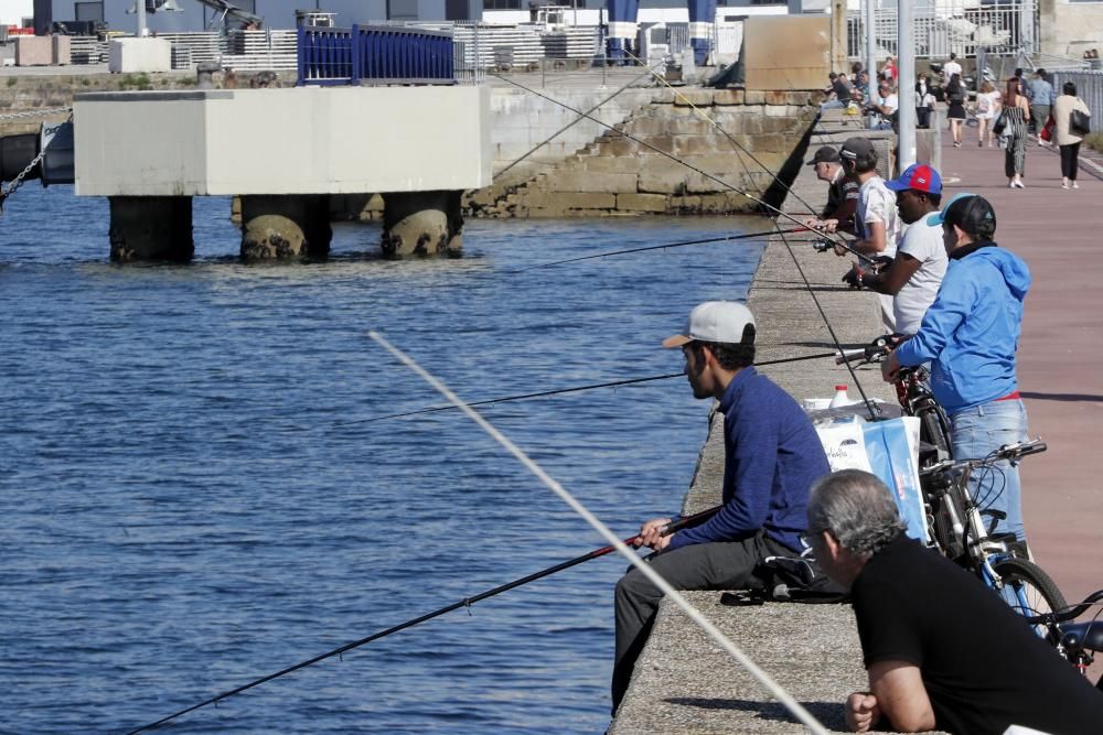 Los aficionados disfrutaron de una jornada de pesca deportiva