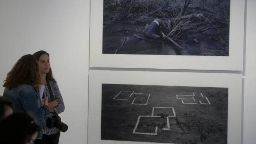 Algunas de las obras que conforman la exposición Todo paisaje es ficción, que se puede ver en el MACA hasta enero.