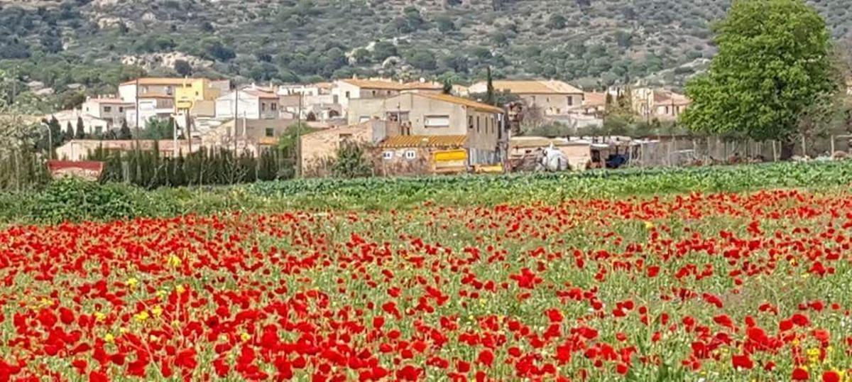 Una imatge del municipi de Pau