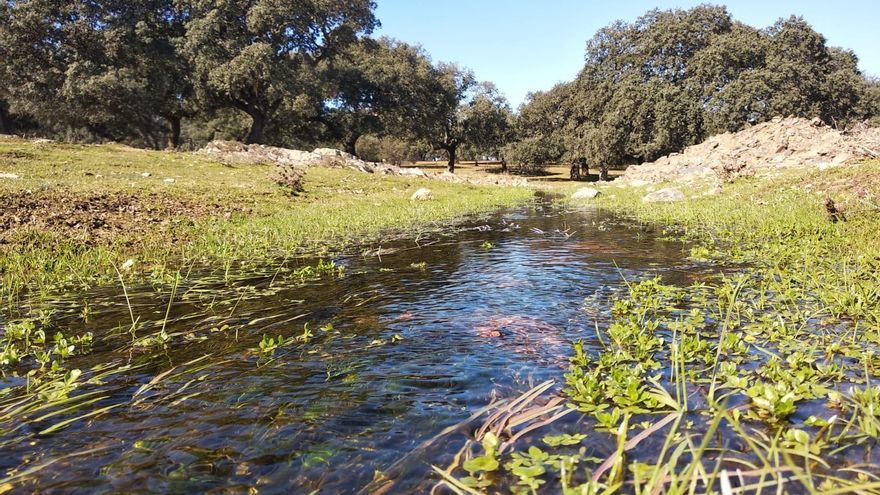 Un paso más para que vea la luz el regadío en la dehesa de Herrera del Duque