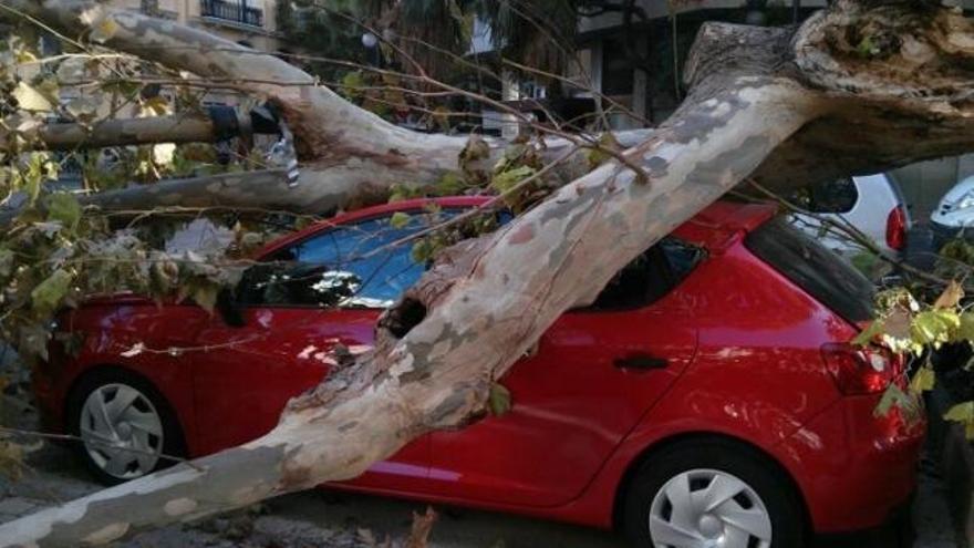 Rachas de viento de 77 km/h dejan numerosos daños