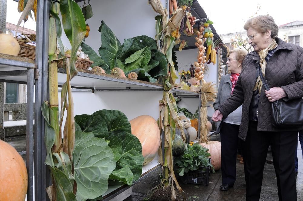 300 kilos de delicias en Cruces