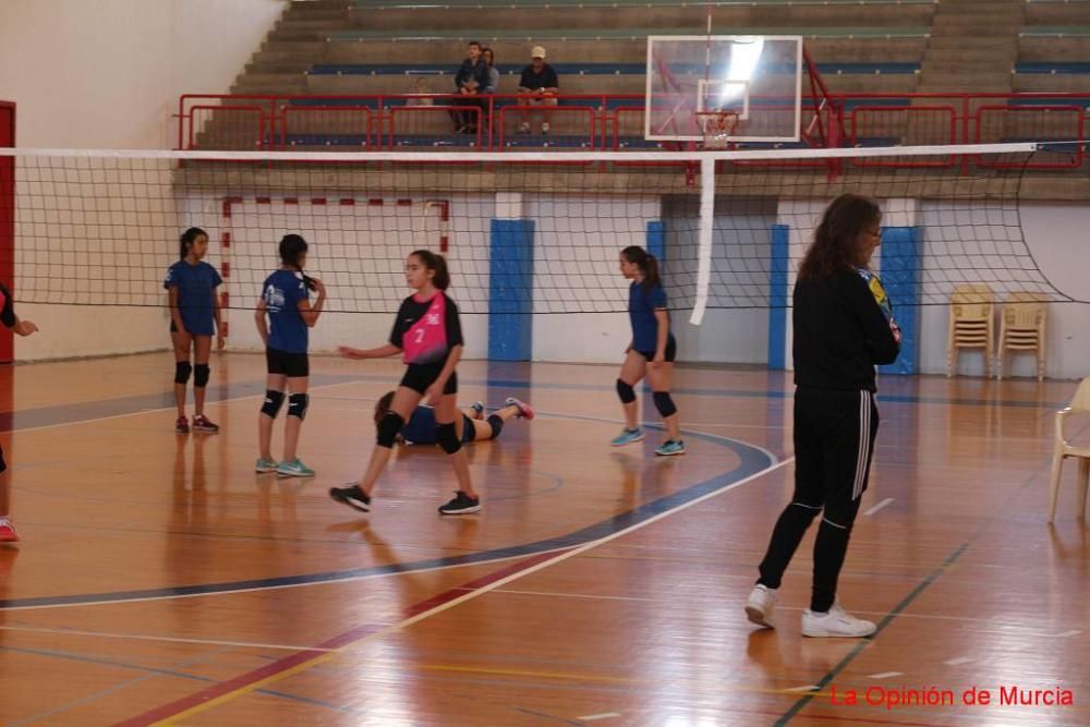 Final regional alevín y benjamín de Deporte en Edad Escolar