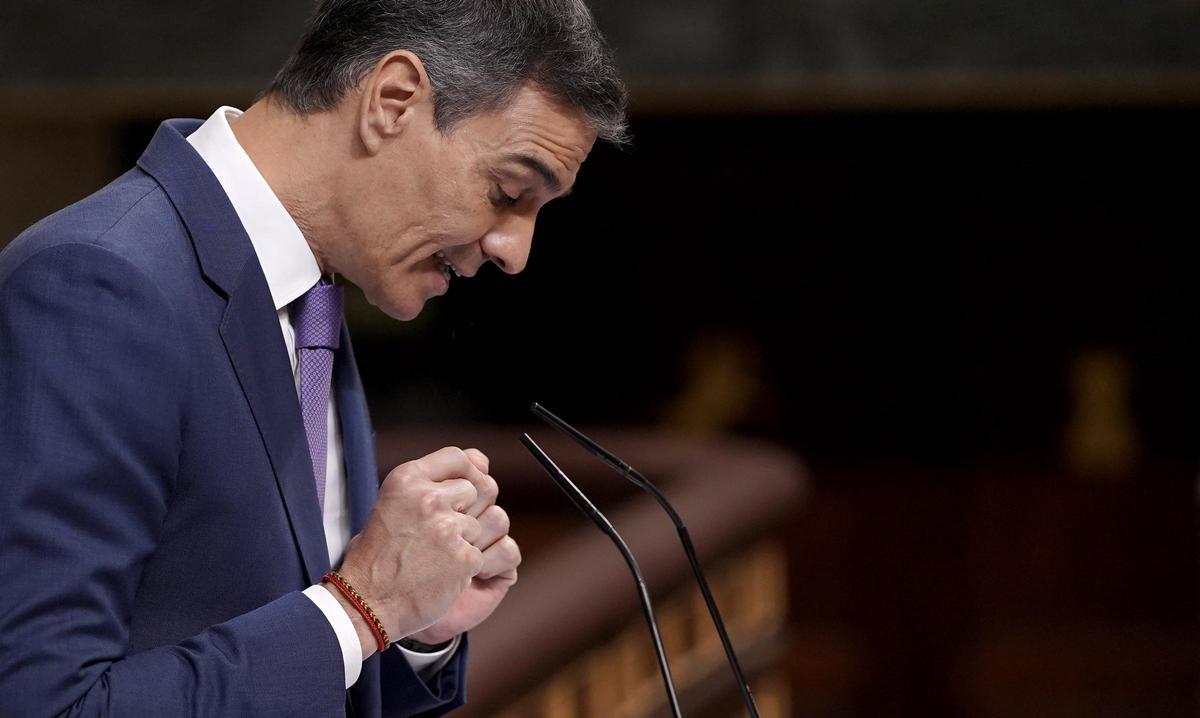 Pedro Sánchez comparece en el Congreso de los Diputados.