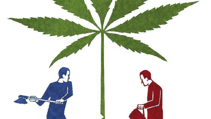 Sobre el debate del cannabis