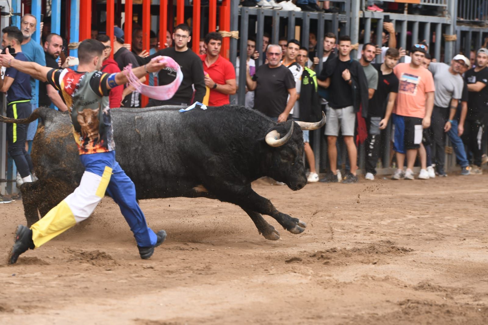 Exhibición de cuatro toros de Partida Resina en Onda