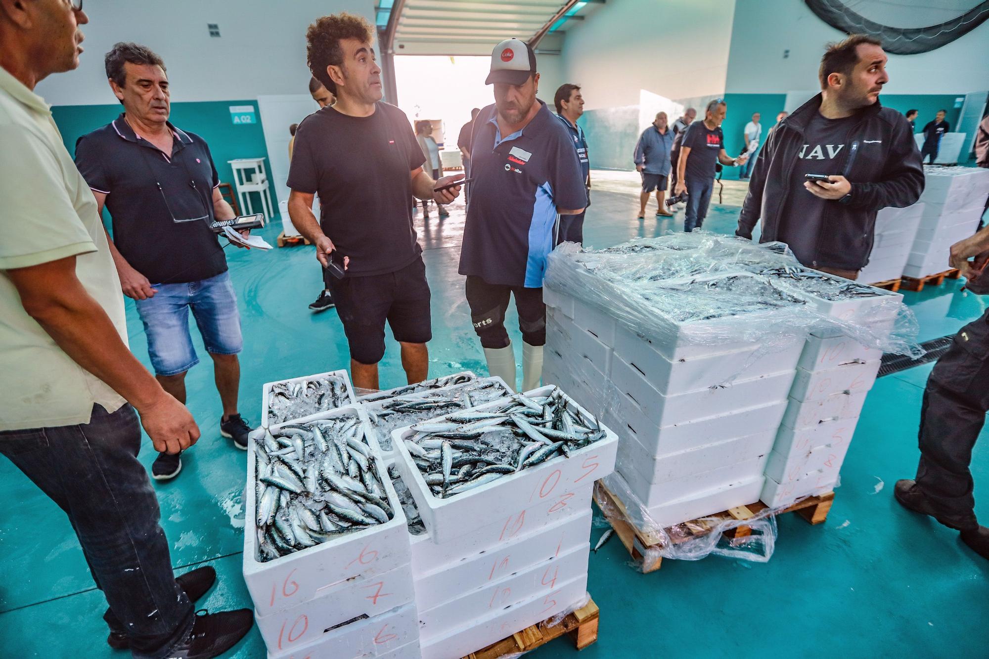 La subasta de la nueva lonja pesquera de Torrevieja se estrena con la venta de 13.000 kilos de boquerón y sardina