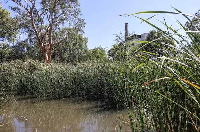El proyecto de limpieza de la Charca del Marco de Cáceres, sin ejecutar
