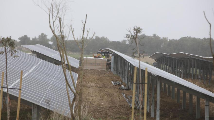 Wasserstofffabrik in Lloseta: Ein Pilotprojekt ist nur der Anfang