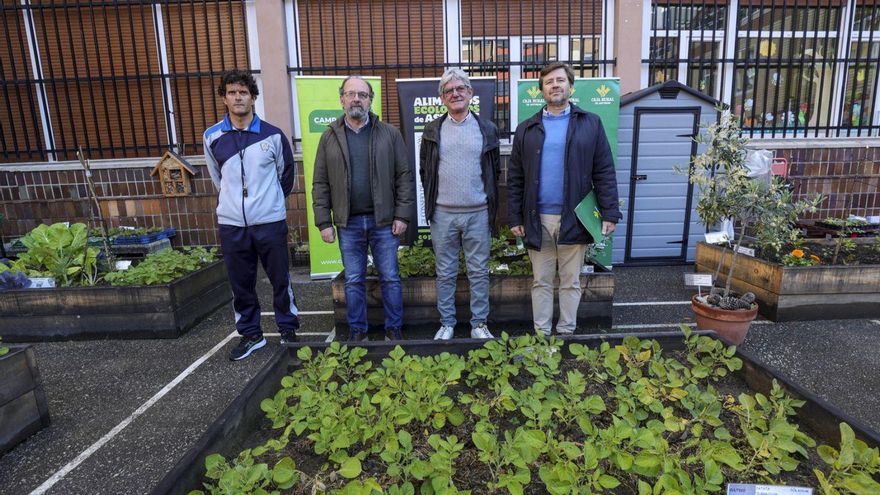 Por la izquierda, Vicente Vázquez, Genaro Nieto, Fernando Farpón y Javier Nievas en el huerto escolar del colegio Nazaret.