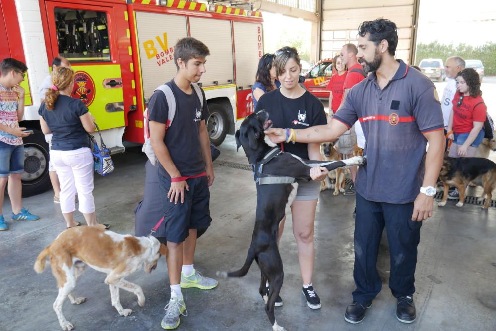 Los bomberos, en la campaña con las mascotas.