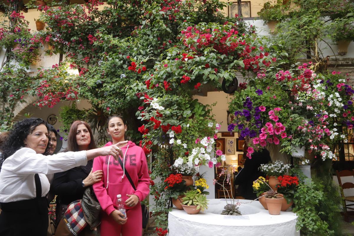 Principales premios del Concurso Municipal de Patios Cordobeses 2026