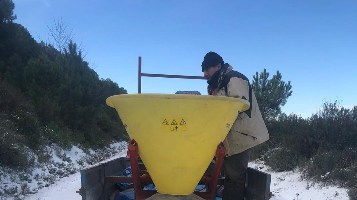 GALERÍA | La nieve del temporal Filomena llega a Aliste