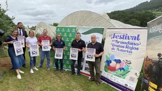 El "kiwiberry", novedad del X Festival del Arándano y los Frutos Rojos de Villaviciosa: esta es la guía para no perderse ninguna actividad