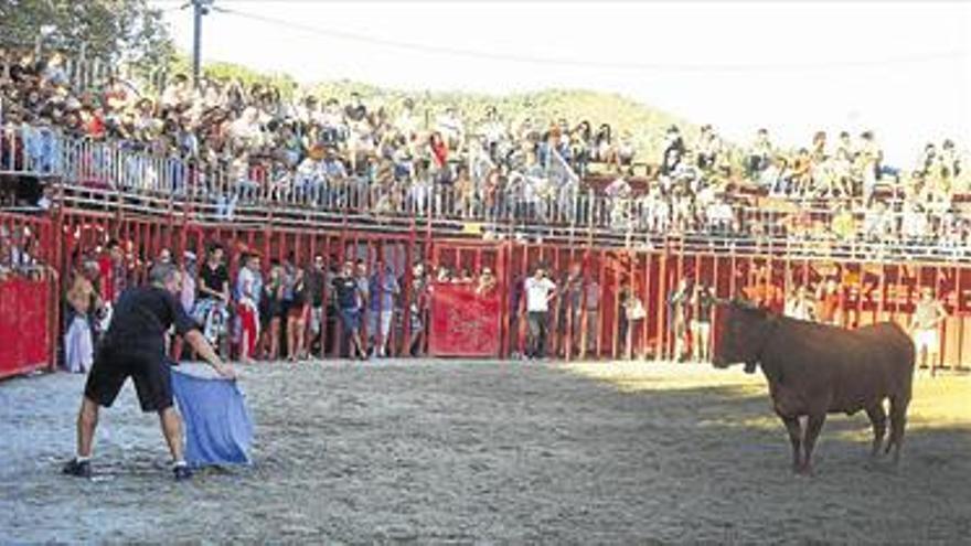 Los festejos taurinos copan cinco jornadas de fiestas