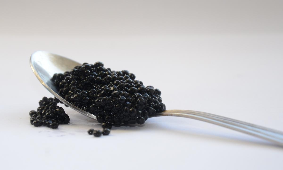 Caviar negro.