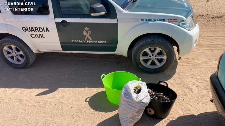 Mejillones requisados por la Guardia Civil en Fuerteventura.