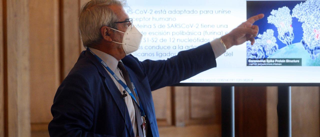 El virólogo y experto en gripe, Raúl Ortiz de Lejarazu, participando en un curso sobre la covid-19.