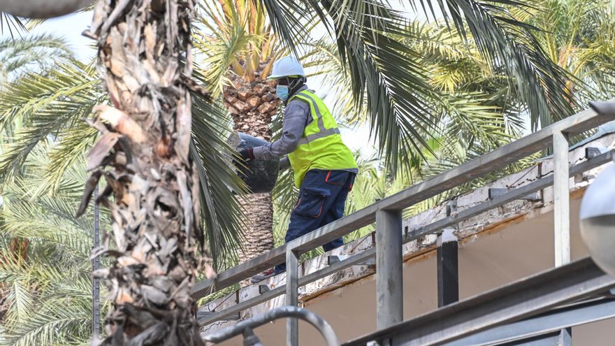 Las obras del restaurante del Parque Municipal de Elche se reactivan tras ocho meses de espera