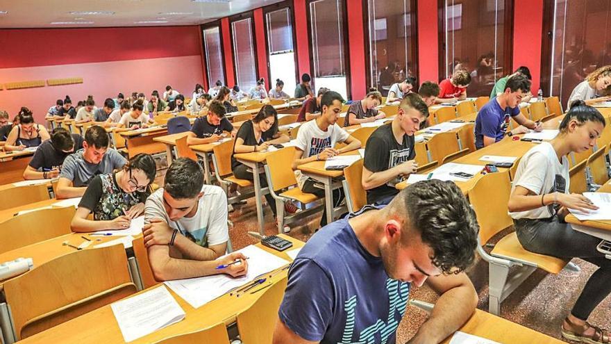 Estudiantes del campus de Salesas en las instalaciones de la Universidad Miguel Hernández.