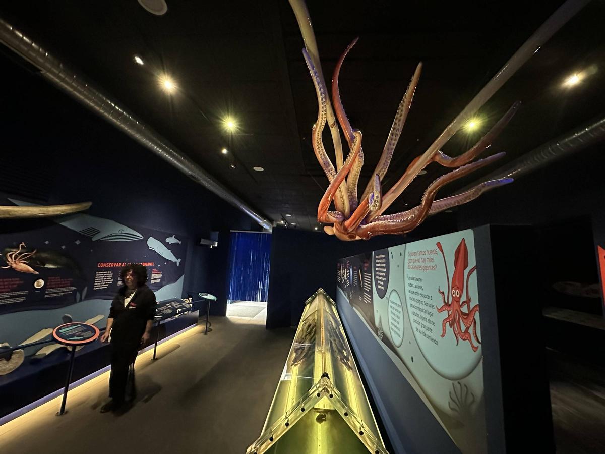 Uno de los espacios del Museo del Calamar de Luarca.