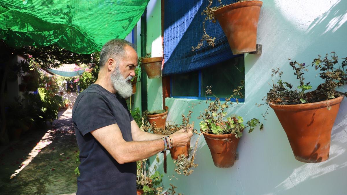 Trabajos de cuidado de las plantas durante el verano en el patio de la calle Marroquíes.