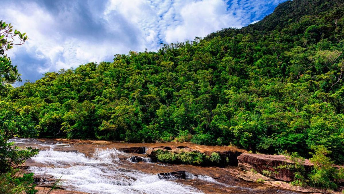 Isla de Iriomote patrimonio Japón