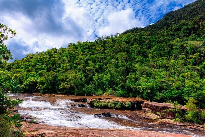 Isla de Iriomote patrimonio Japón