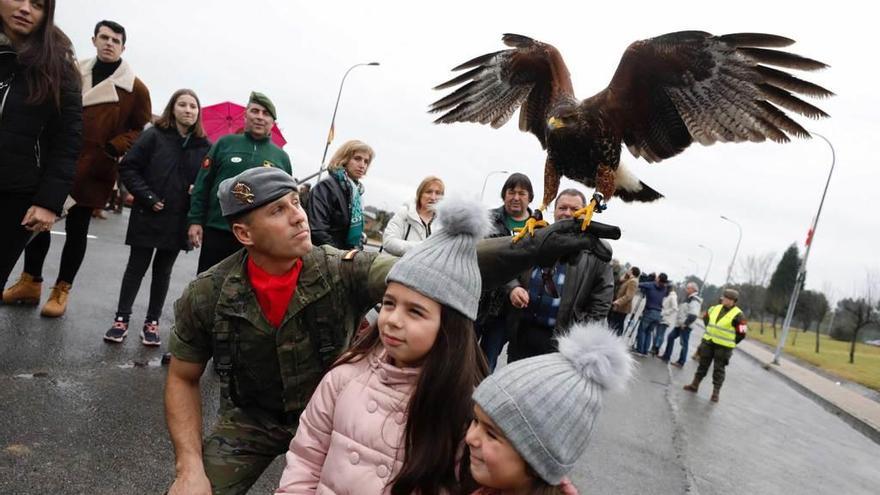 El águila &quot;Xana&quot;, una de las atracciones de la jornada.