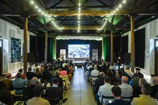 Proyectos de Impacto