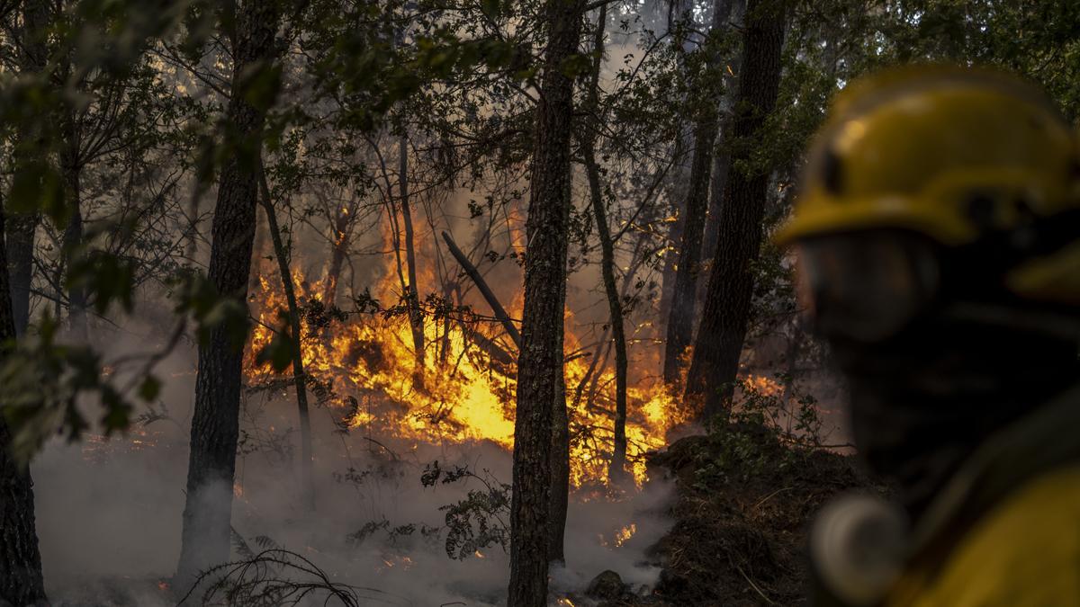 Incendio forestal en O Irixo.